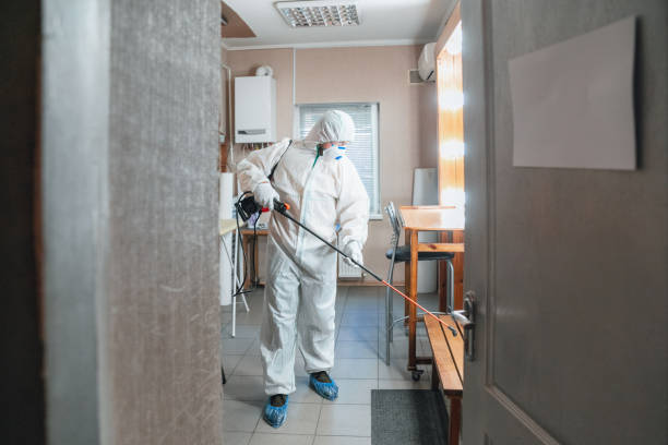 Best Dehumidification Services  in Mountain View, HI