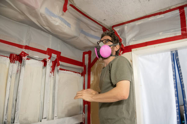 Best HVAC Mold Inspection and Cleaning  in Mountain View, HI