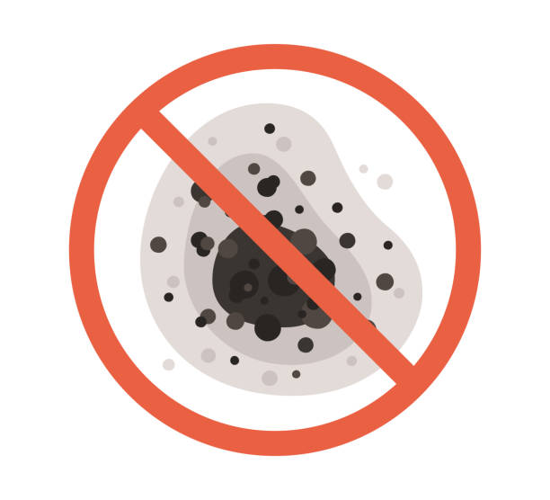 Mold Removal for HVAC Installations in Mountain View, HI