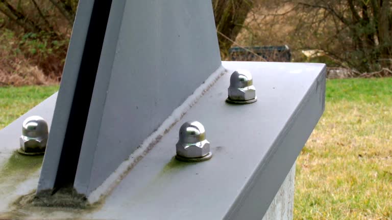 Best Industrial Mold Remediation  in Mountain View, HI